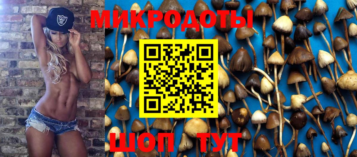 Псилоцибиновые грибы Magic Shrooms Сорочинск