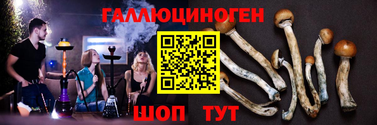Галлюциногенные грибы прущие грибы  Вход с VPN  Сорочинск  Галлюциногенные грибы Cubensis 